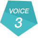 VOICE3